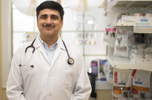 Dr. Pawan Kutlehria Erin Centre Animal Hospital Mississauga