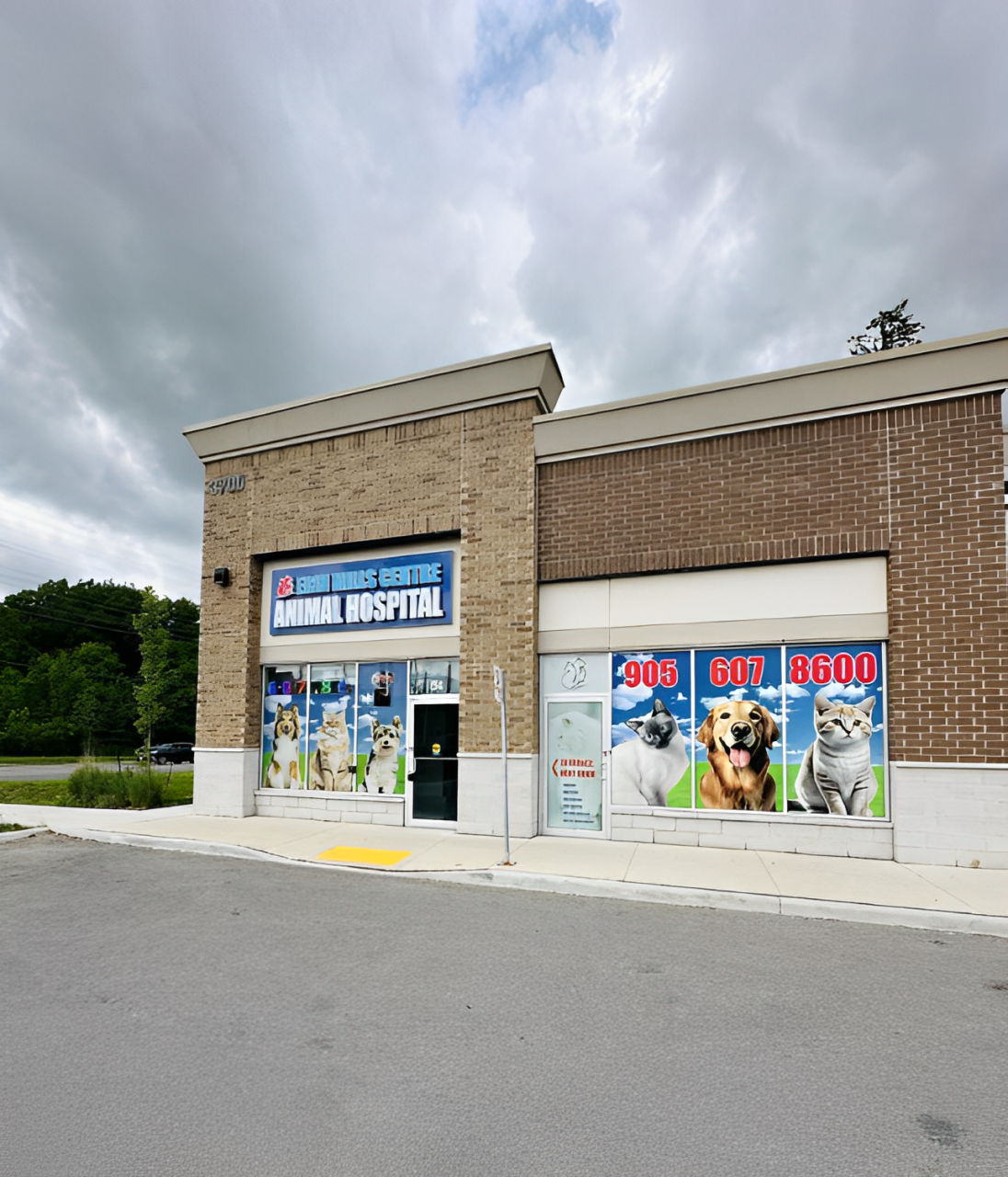 Erin Centre Animal Hospital Mississauga