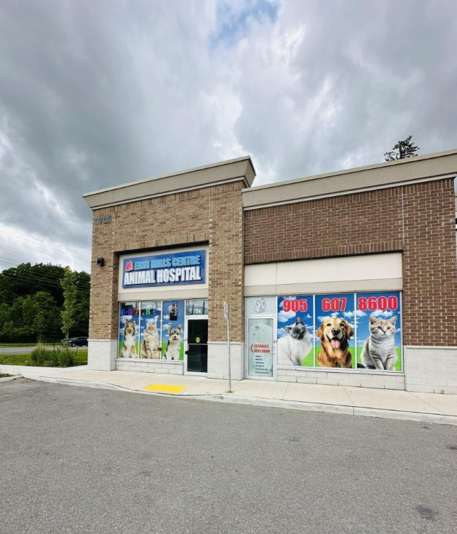 Erin Centre Animal Hospital Mississauga