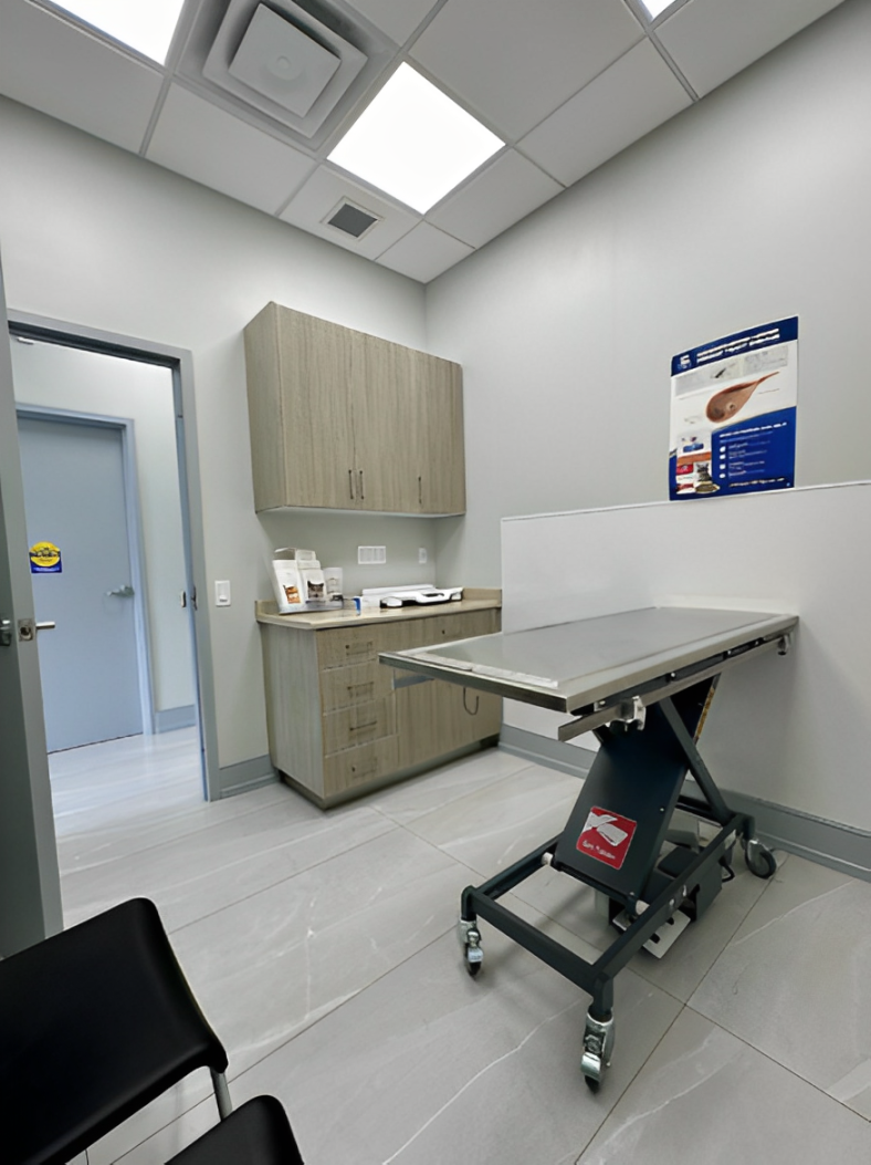 Erin Centre Animal Hospital Mississauga