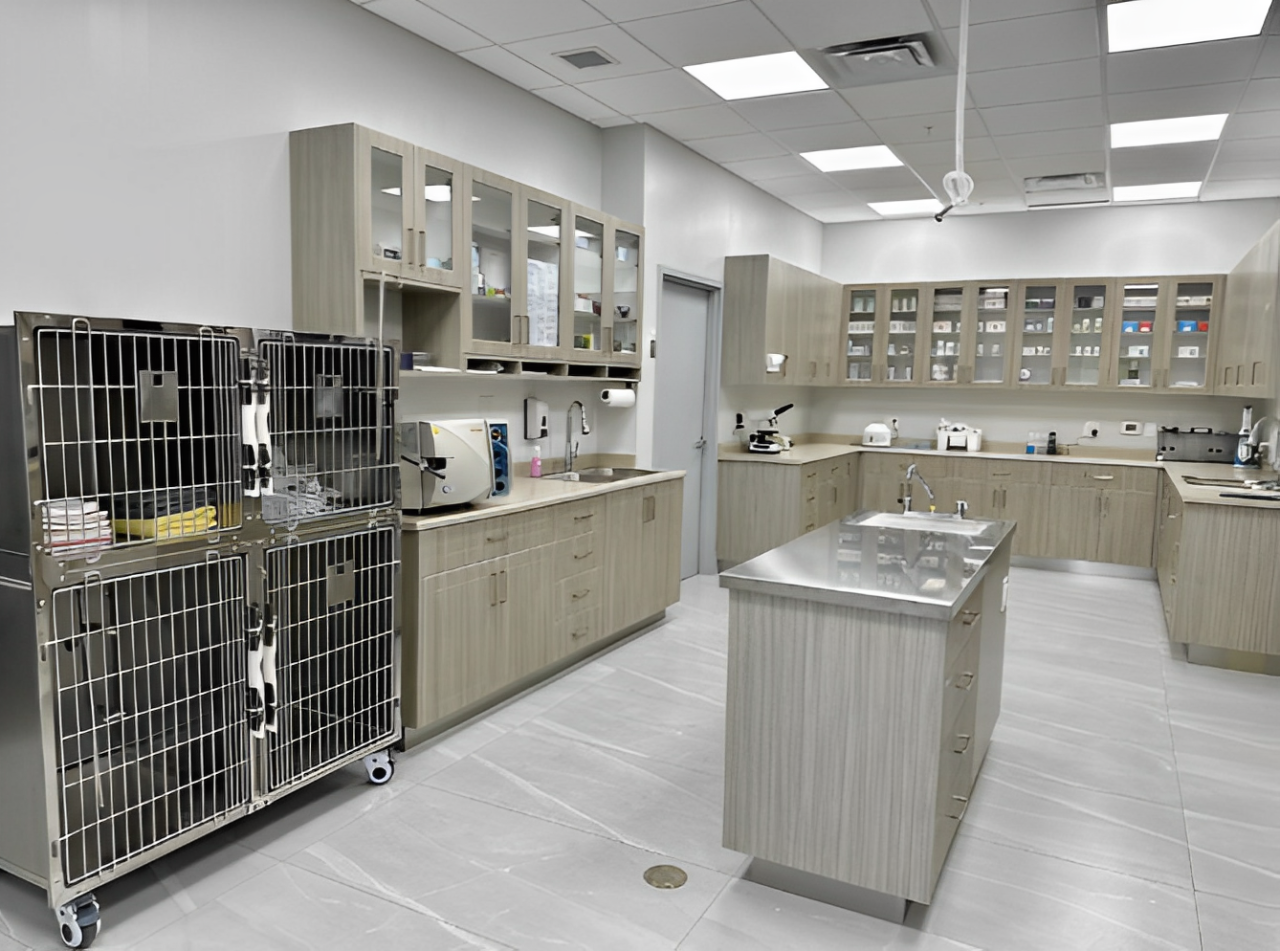 Erin Centre Animal Hospital Mississauga