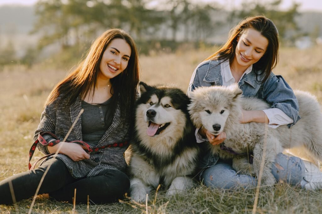 animal dental care in Mississauga
