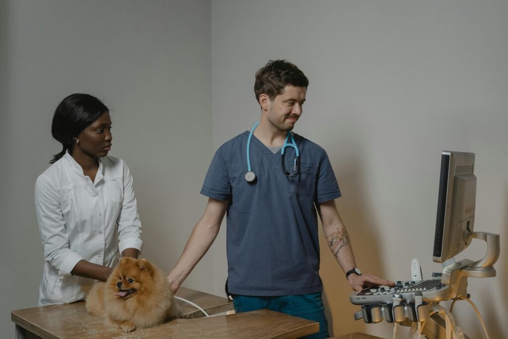 veterinary x ray in Mississauga