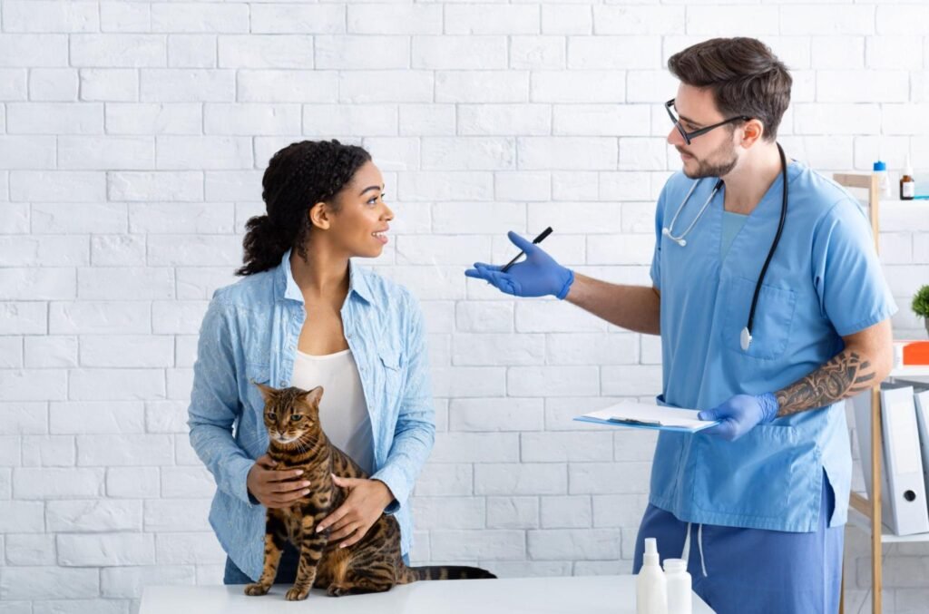 Veterinarian consulting with a pet owner while examining a cat at an animal hospital in Mississauga