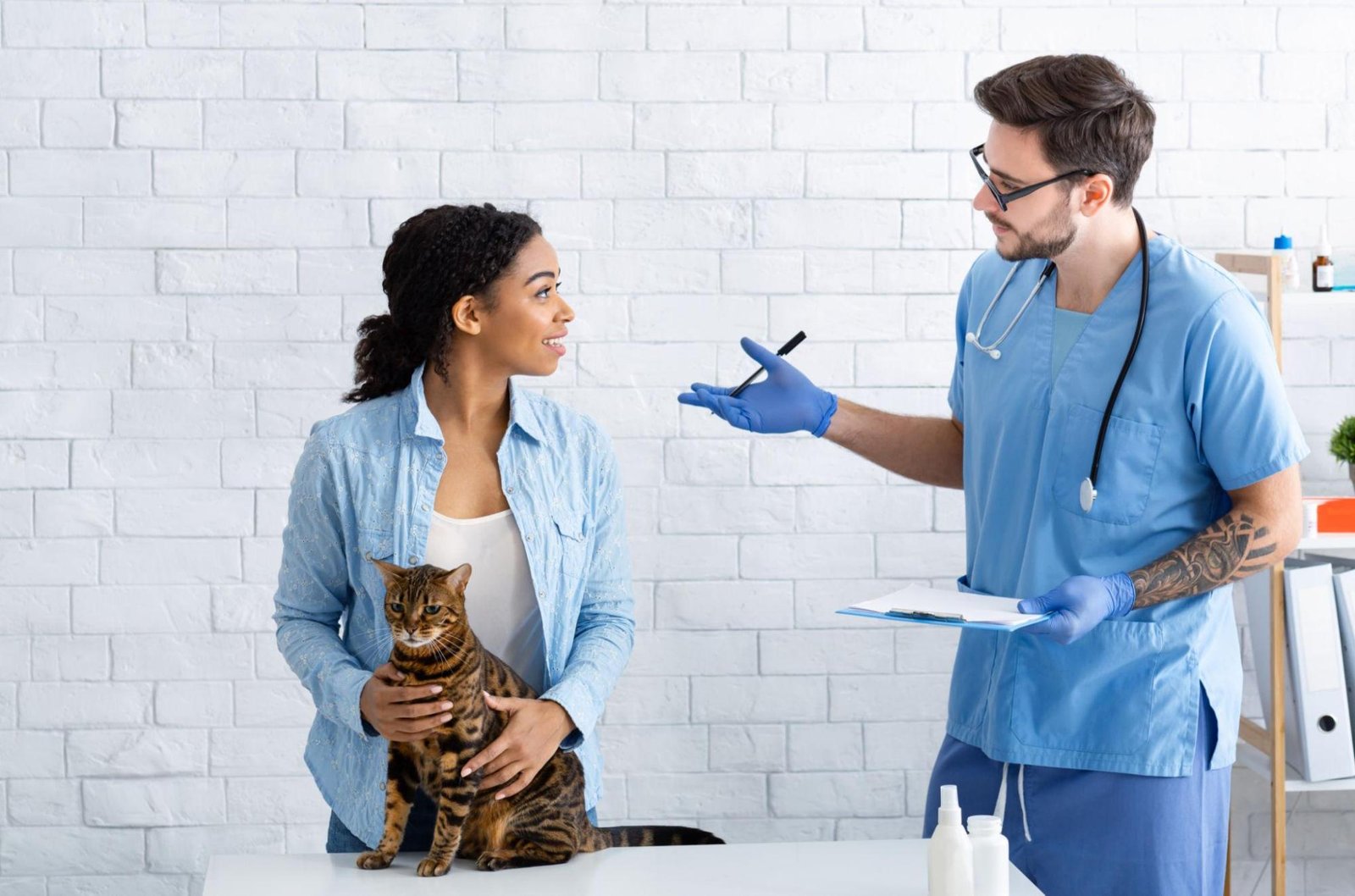 Veterinarian consulting with a pet owner while examining a cat at an animal hospital in Mississauga