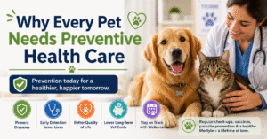 Preventive pet health care with a veterinarian, dog, and cat.