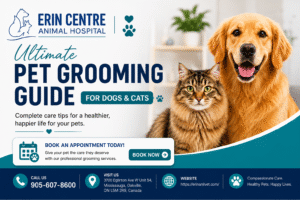 Dog and cat promoting professional pet grooming services.