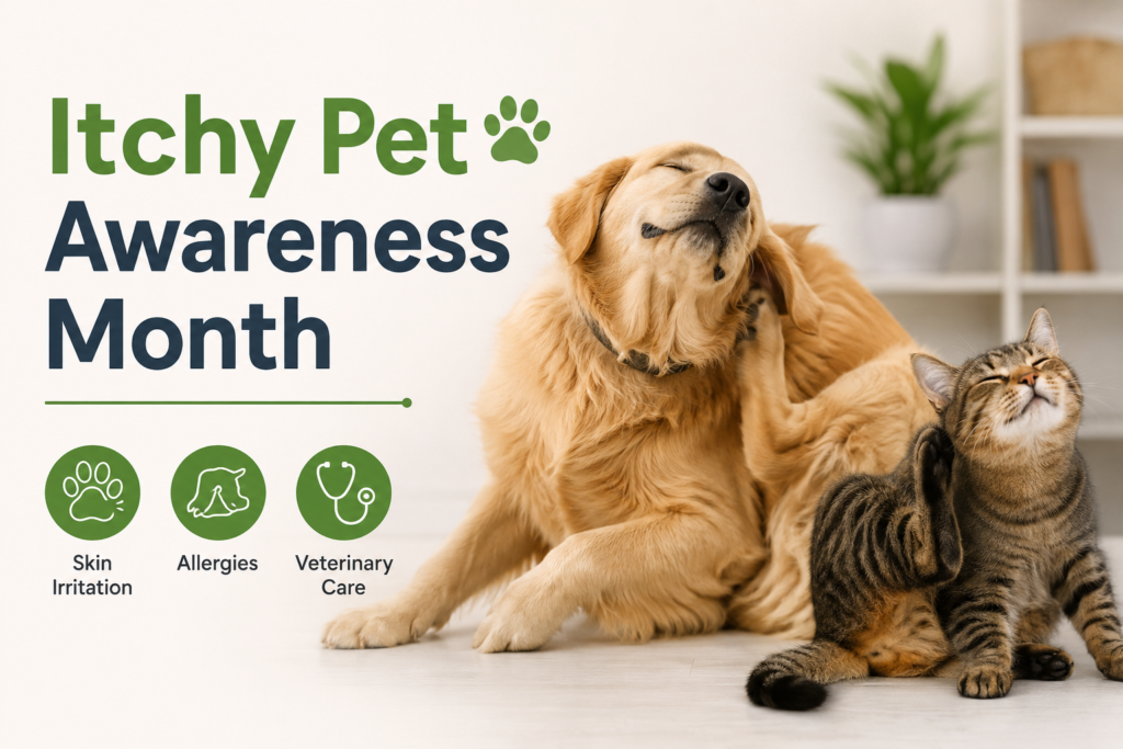 itchy-pet-awareness-month