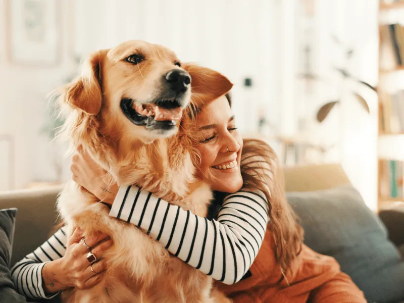 Is Phovia Therapy Right for Your Pet