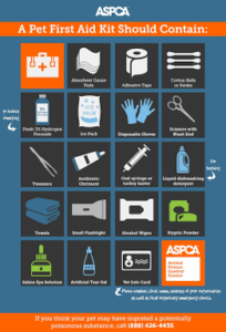 Pet Disaster Preparedness Kit