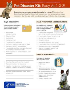 Pet first aid kit packing checklist