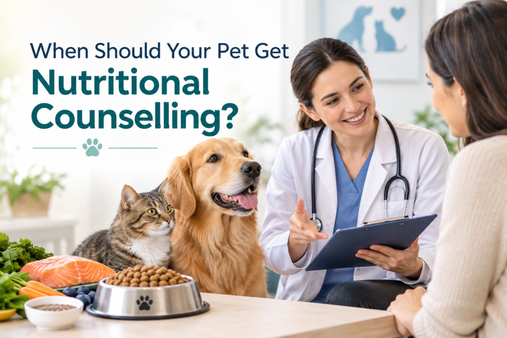 When Should Your Pet Get Nutritional Counselling