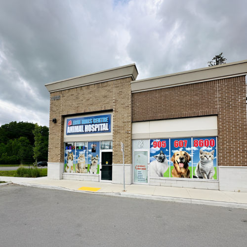 Erin Centre Animal Hospital Mississauga