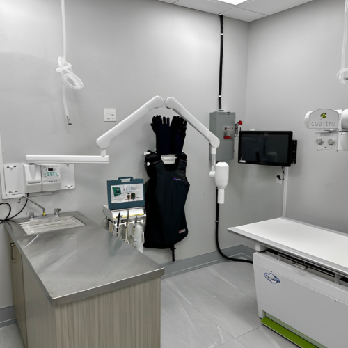 Erin Centre Animal Hospital Mississauga