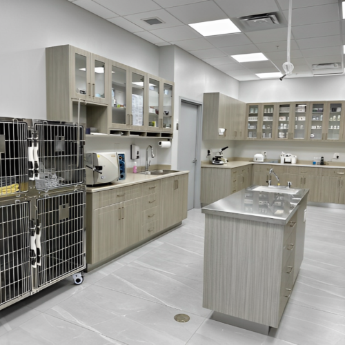 Erin Centre Animal Hospital Mississauga