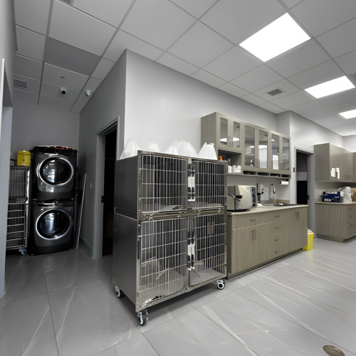 Erin Centre Animal Hospital Mississauga