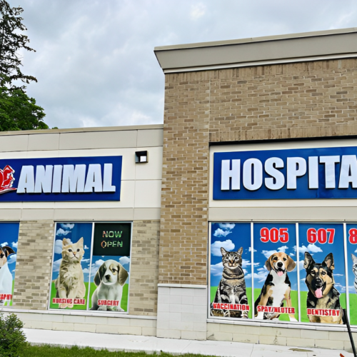 Erin Centre Animal Hospital Mississauga